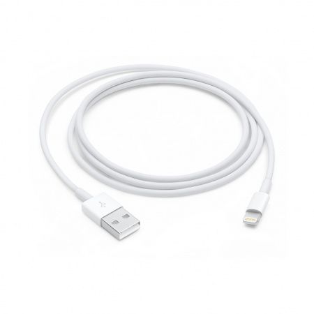Apple Lightning to USB Cable